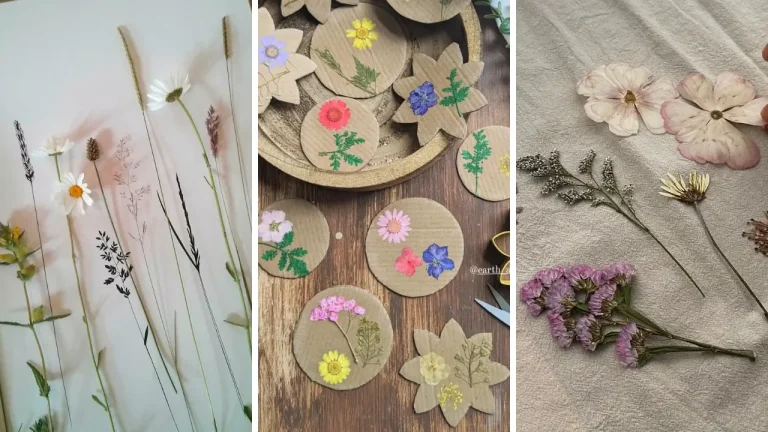 15+ Best Pressed Flower Kits for Beginners: Easy Sets That Actually Work