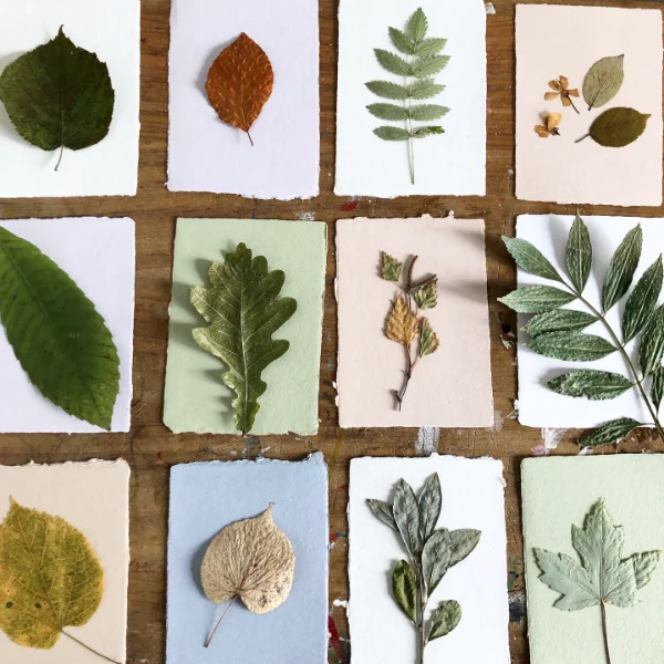 Pressed Leaf Mosaic