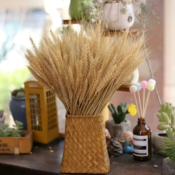 Rustic Dried Wheat Stalks Rustic Dried Wheat Stalks