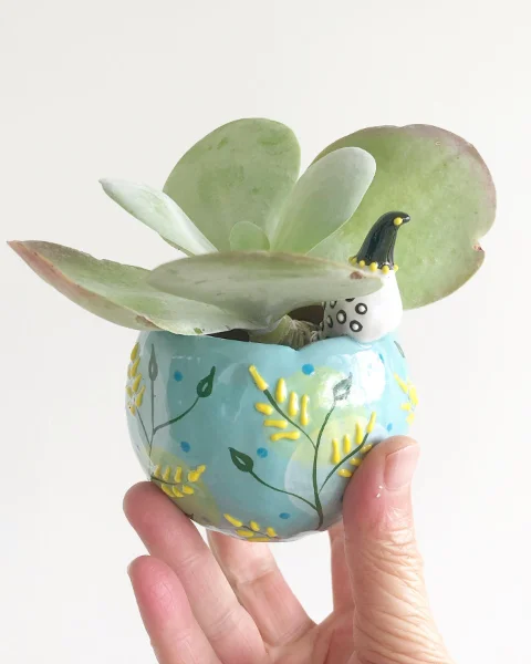 Succulent Planter Pots