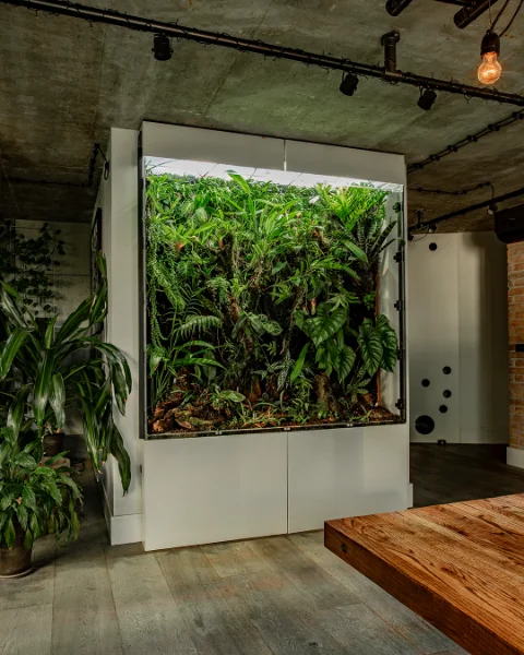 Terrarium Style Displays