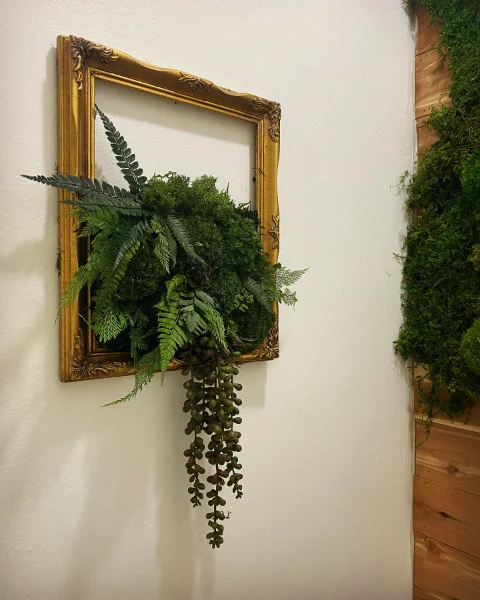 Vintage Frame Collection