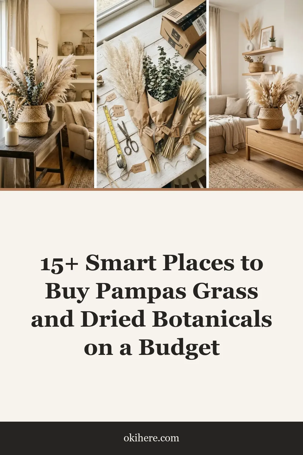 15+ Smart Places to Buy Pampas Grass and Dried Botanicals on a Budget