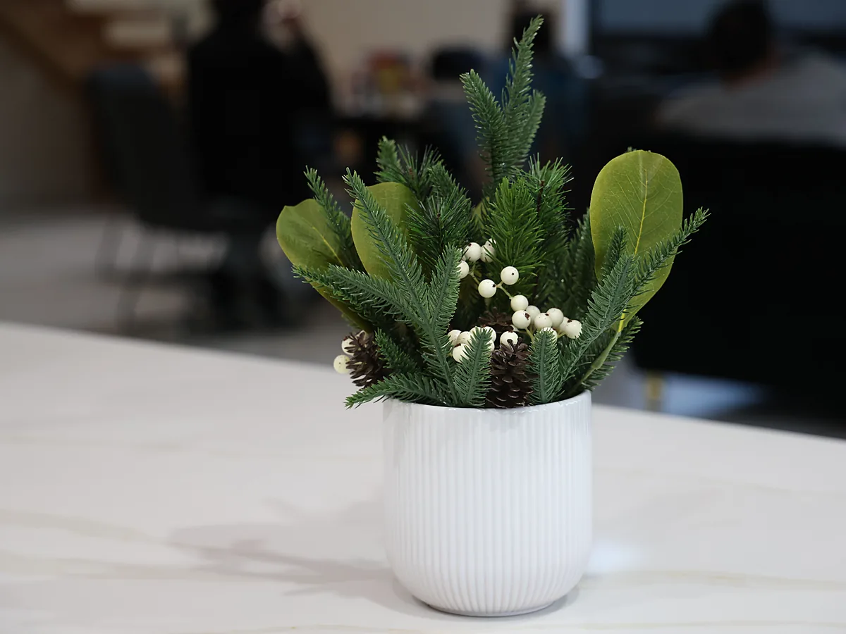 Small winter arrangement of fir sprigs, white berries and pinecones in a white ribbed pot