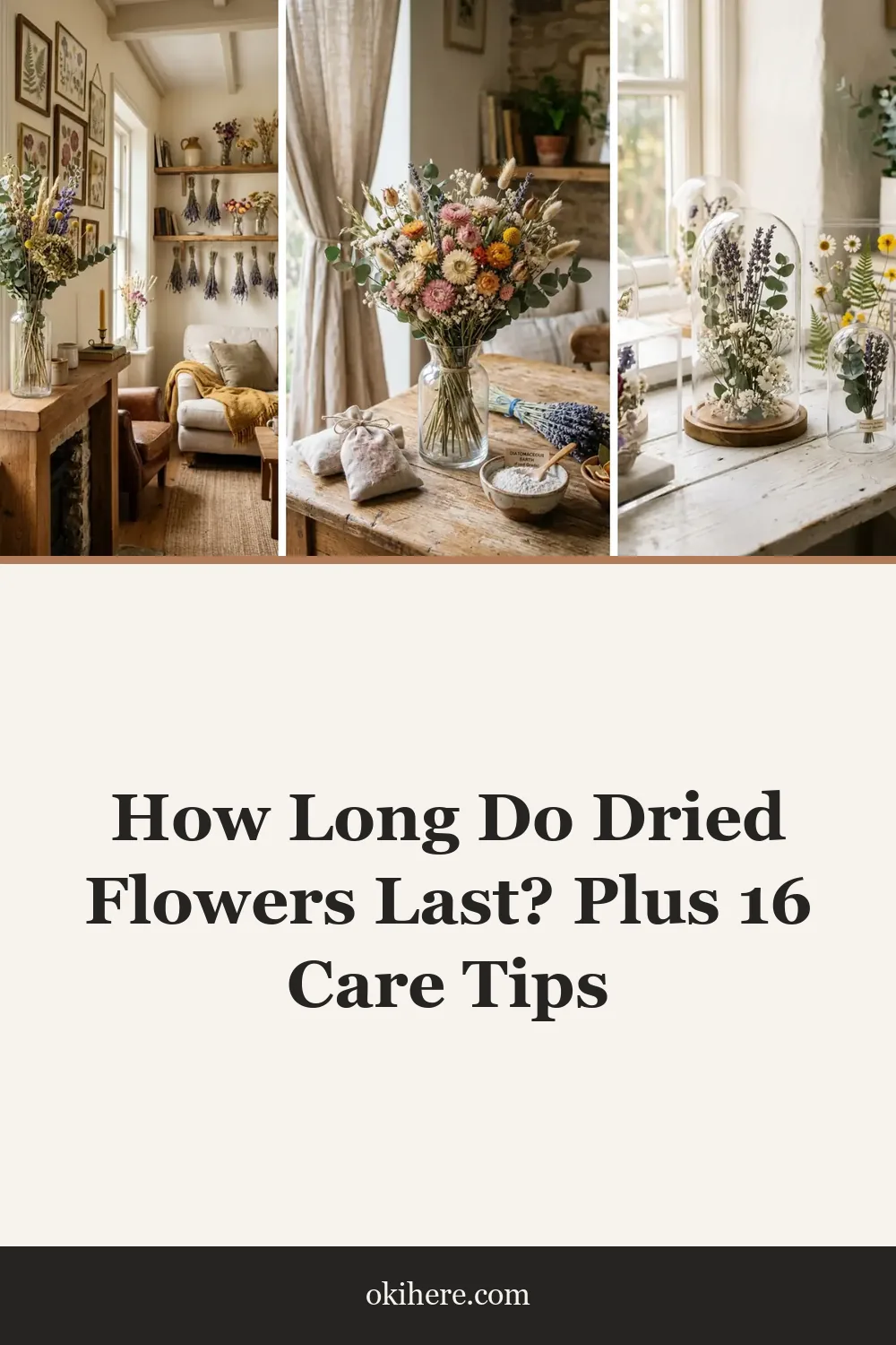 How Long Do Dried Flowers Last? Plus 16 Care Tips