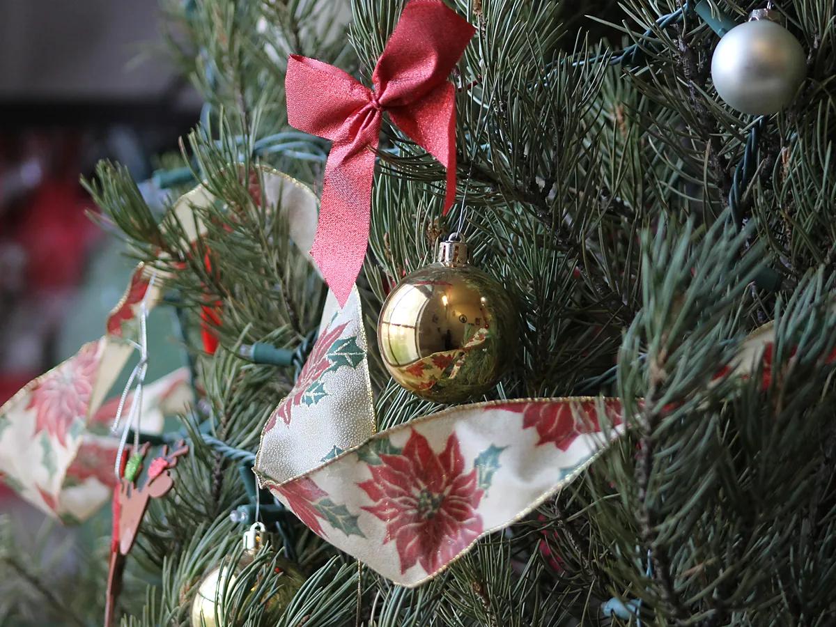 Gold glass bauble and a red fabric bow hanging among pine branches with poinsettia-patterned ribbon