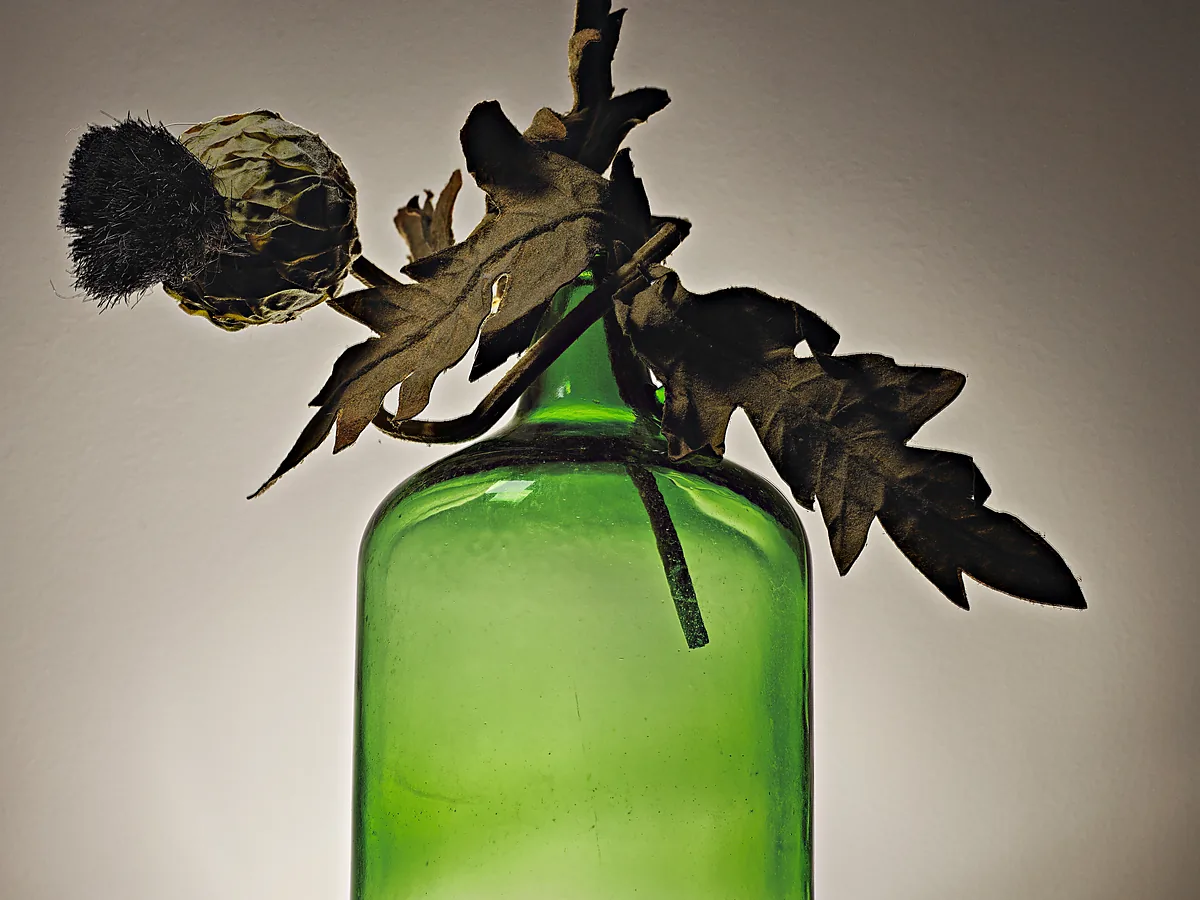 Green glass bottle holding a single dried thistle stem against a pale wall